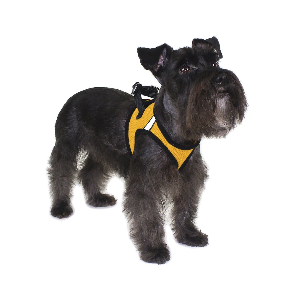 York Mesh Dog Harness