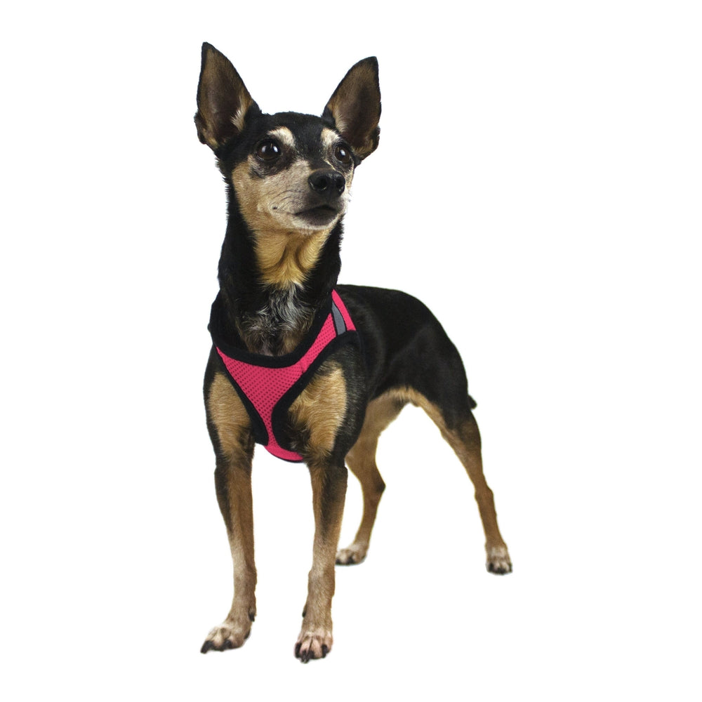 York Mesh Dog Harness