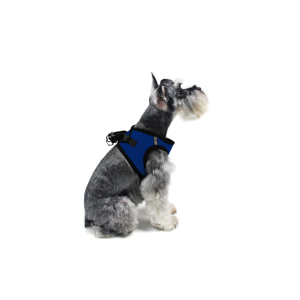 York Mesh Dog Harness