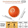 Bouncing Ball for dogs and cats