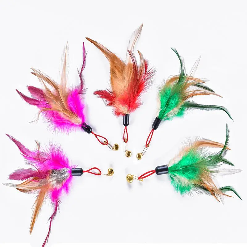Interactive Cat Toy Feather Bird with Multiple Options