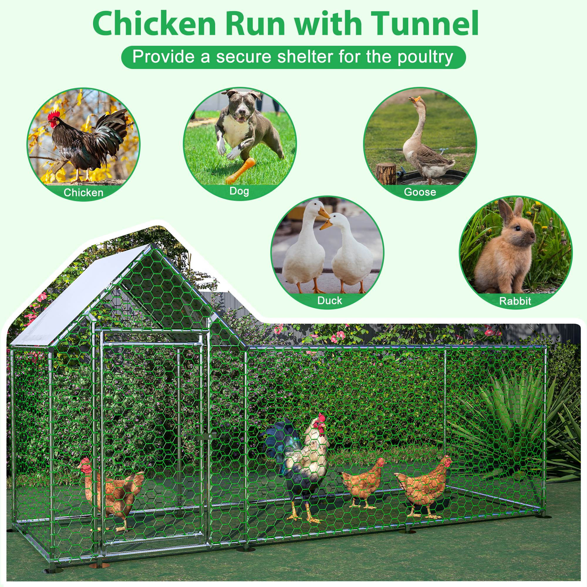 Metal Chicken Enclosure with Cover