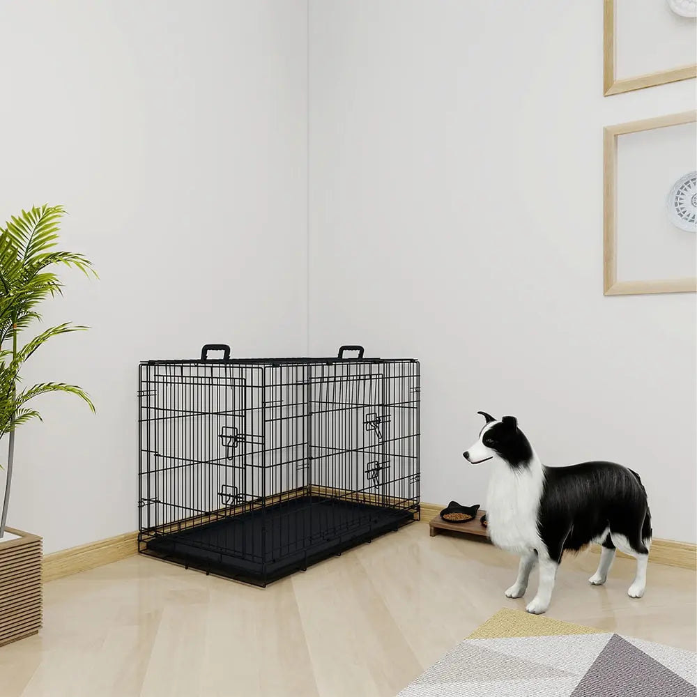 36 Inches Black Wire Dog Cage Double Lock Mechanism Two Doors