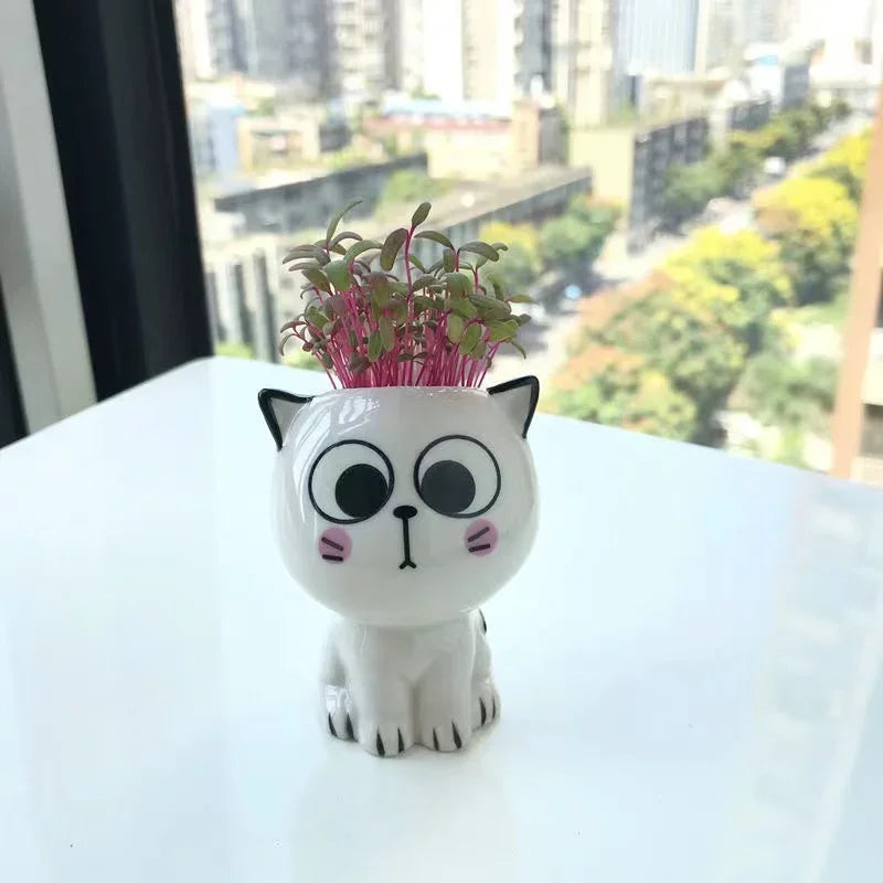 Mini Cat Ceramic Flowerpot