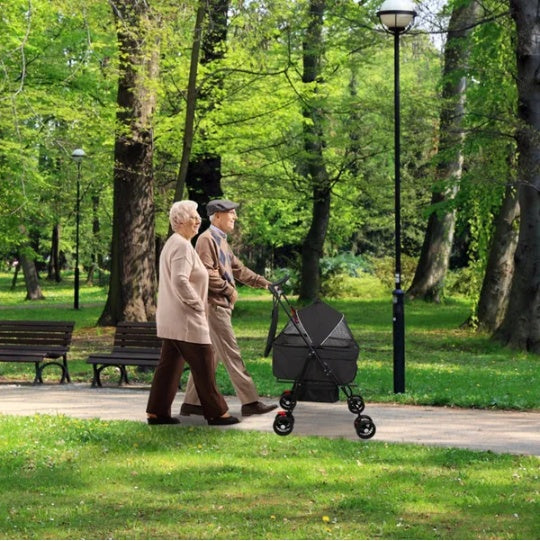 4 Wheels Pet Stroller Foldable Carrier with Removable Liner