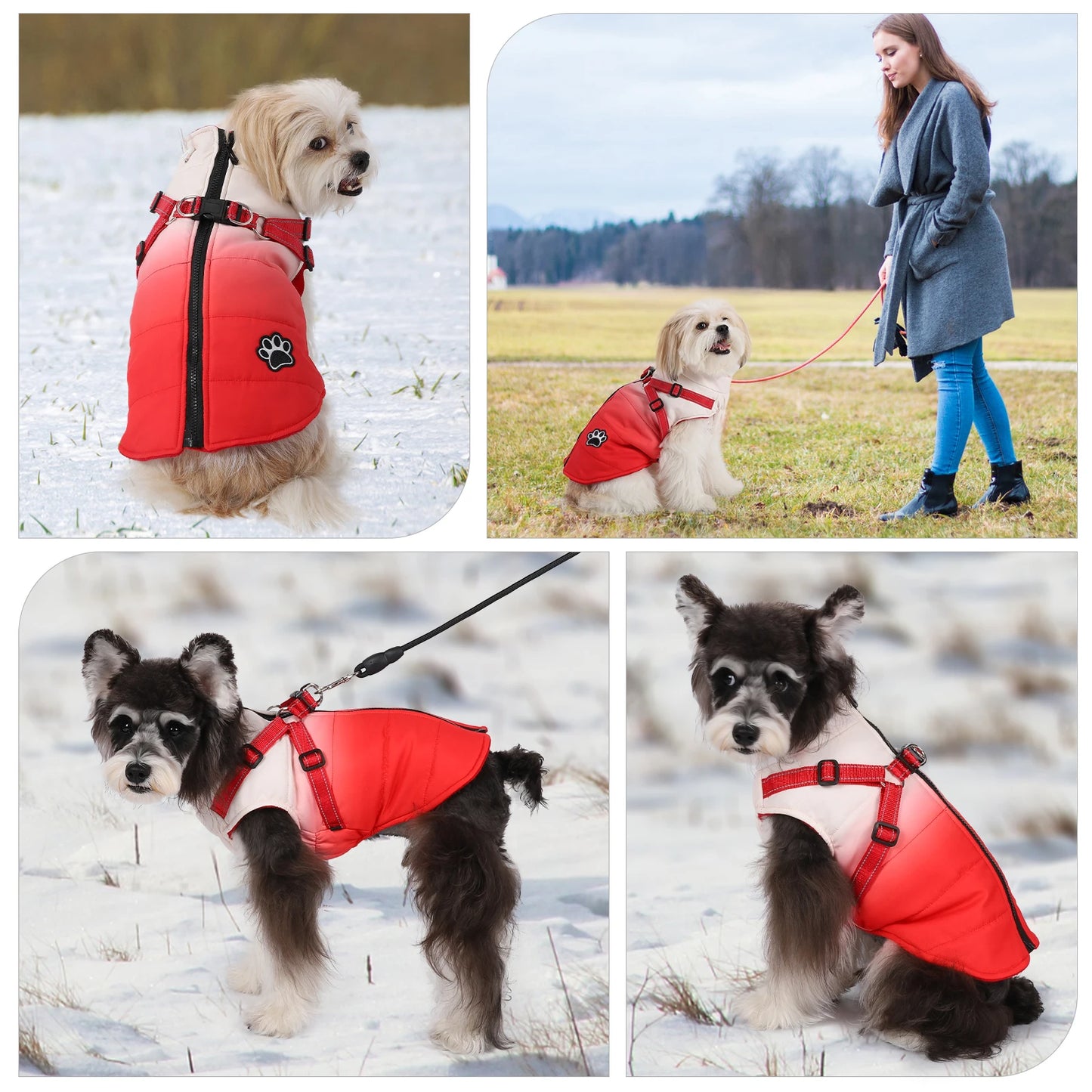 Waterproof Pet Winter Jacket With Harness and Reflective