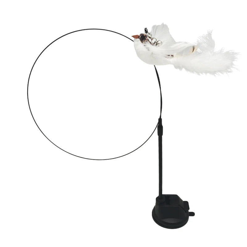 Interactive Cat Toy Feather Bird with Multiple Options