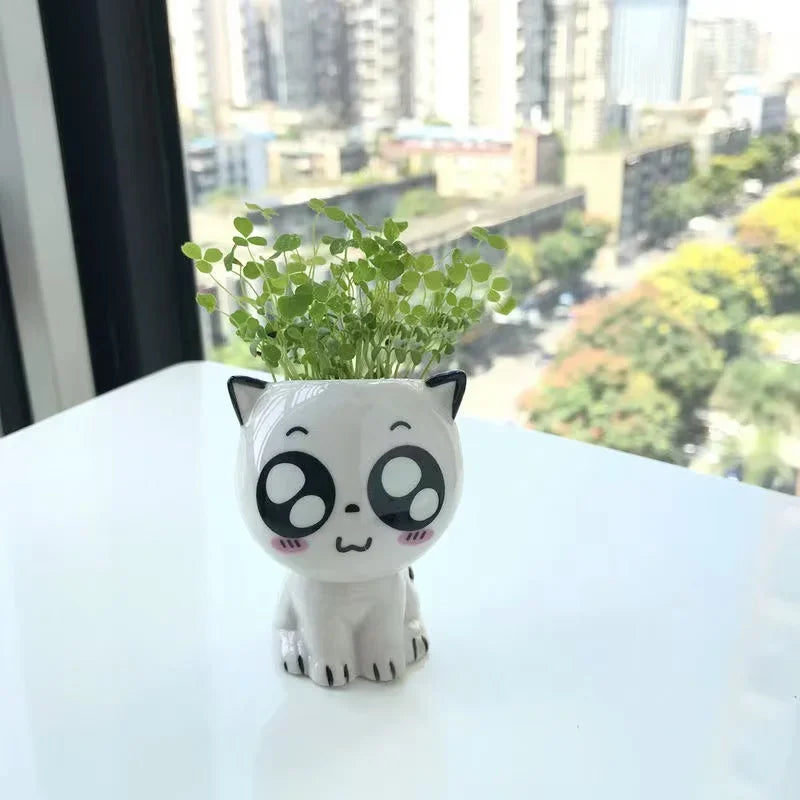 Mini Cat Ceramic Flowerpot