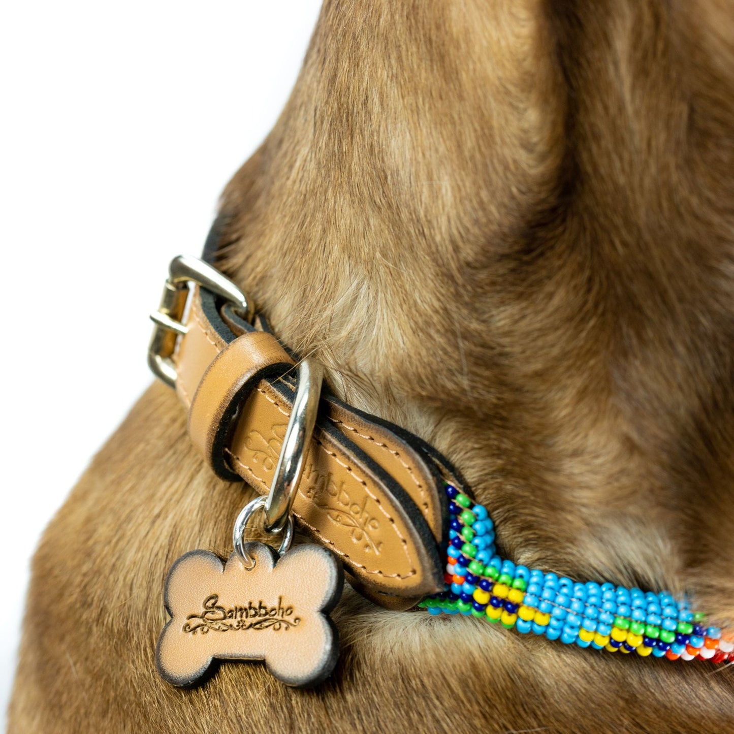 Blue Vogue Sambboho dog collar (rolled)