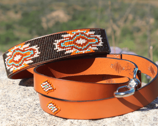 Matching leash/dog collar Boho Chic Sambboho Bundle