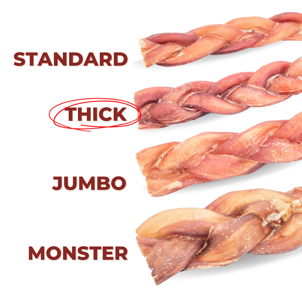 12 Inch Thick Braided Bully Stick