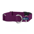 5/8″ and 1″ Burgundy Nylon Buckle Martingale Dog Collar