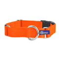 5/8″ and 1″ Neon Orange Nylon Buckle Martingale Dog Collar
