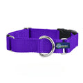 5/8″ and 1″ Purple Nylon Buckle Martingale Dog Collar