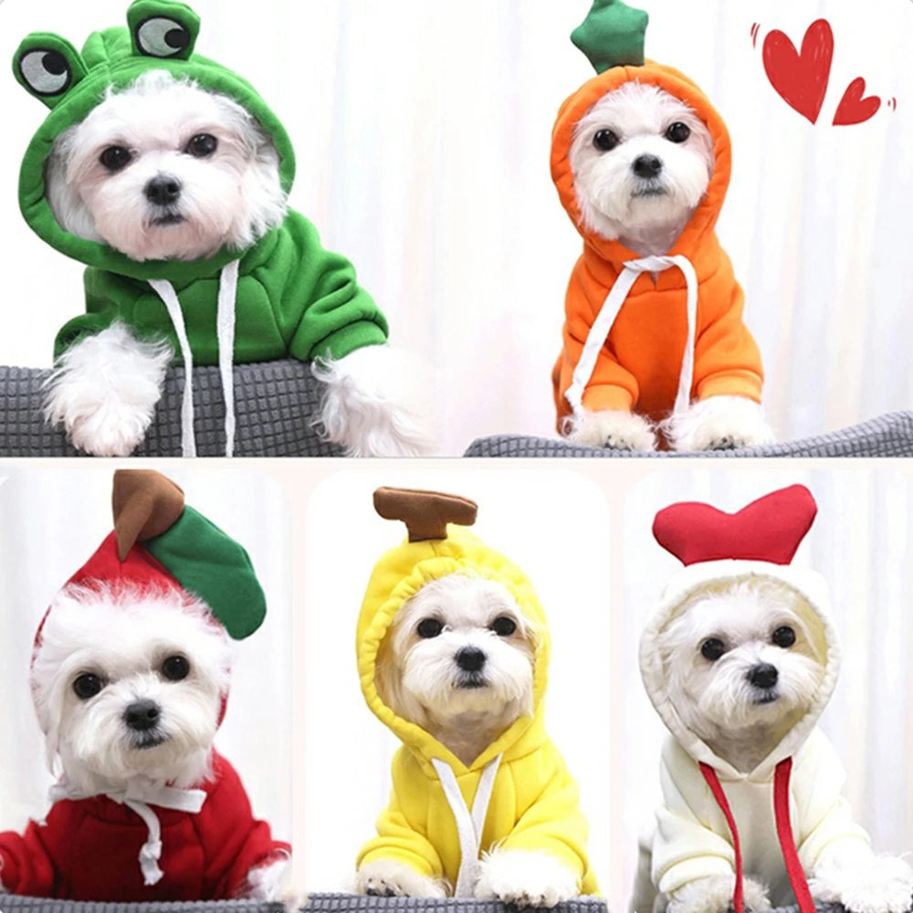 Cute Colorful Pet Clothing
