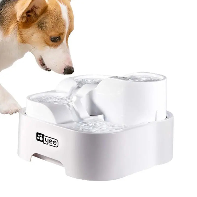 Pet Water Fountain With Filtration System