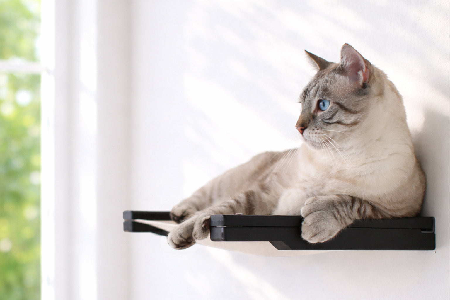 Hanging Cat Bed Hammock