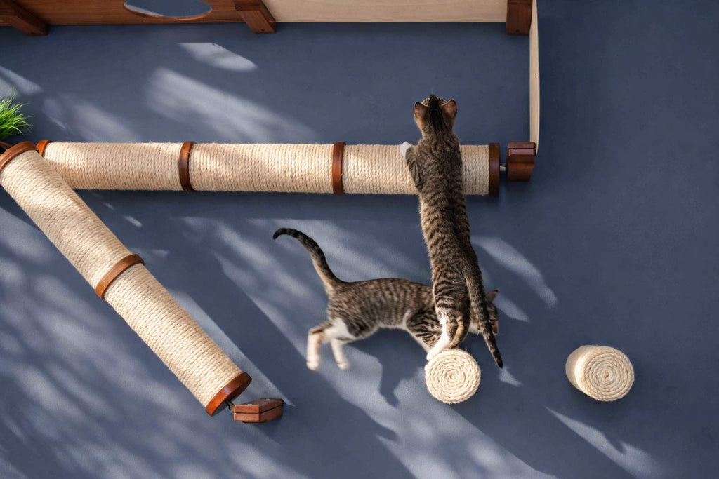 Floating Cat Step for Wall