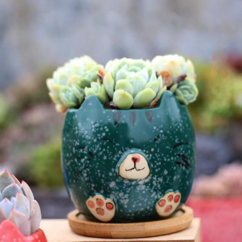 Cartoon Succulent Plant Pot Cat Animal Flowerpot4Pcs/Set