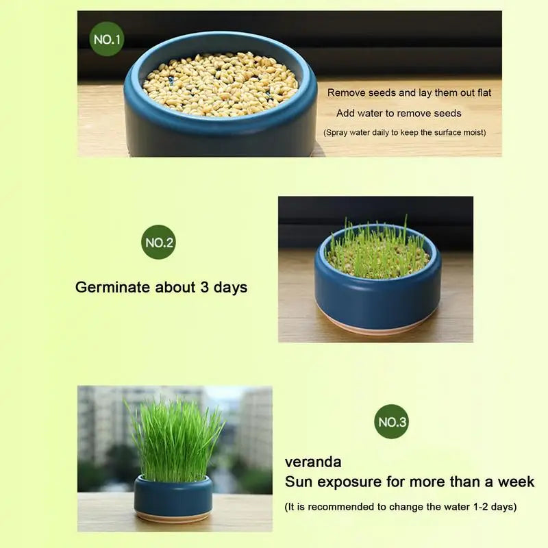 Hydroponic Box, Cat Grass Plant Bowl