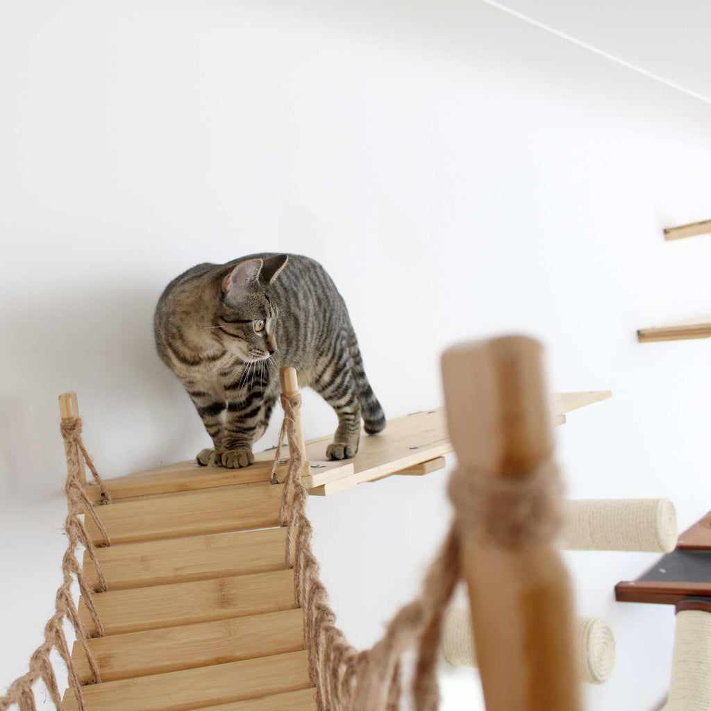 Corner Cat Shelf Bridge