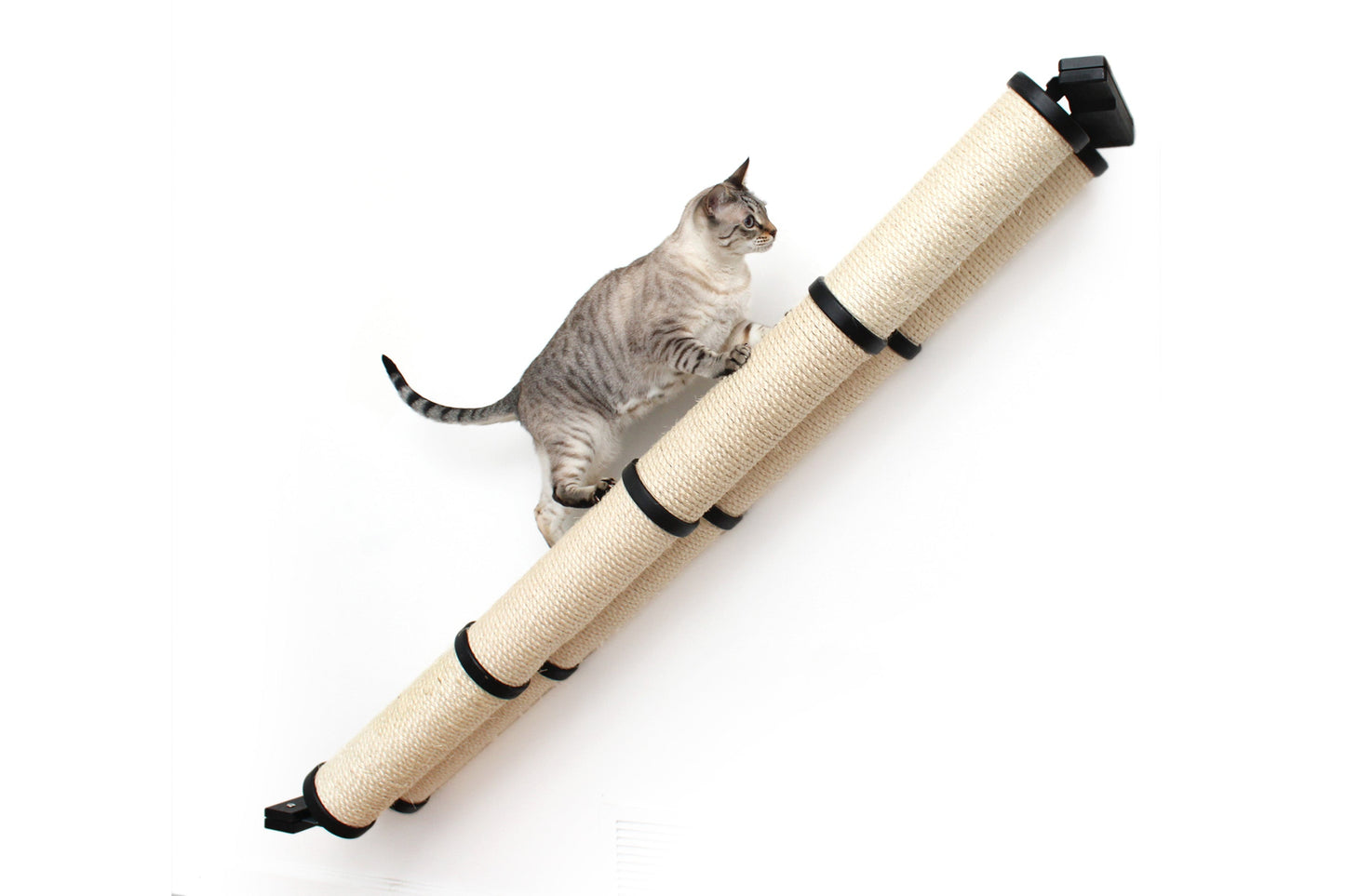 Slanted Cat Scratcher for Wall
