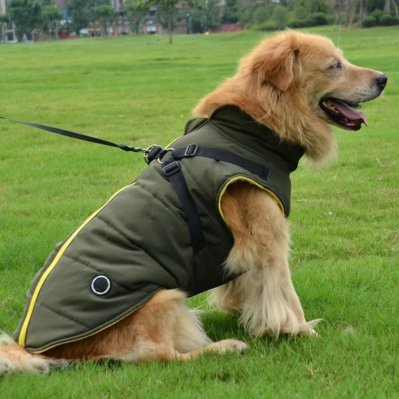 Winter Pet Jacket With Buckle