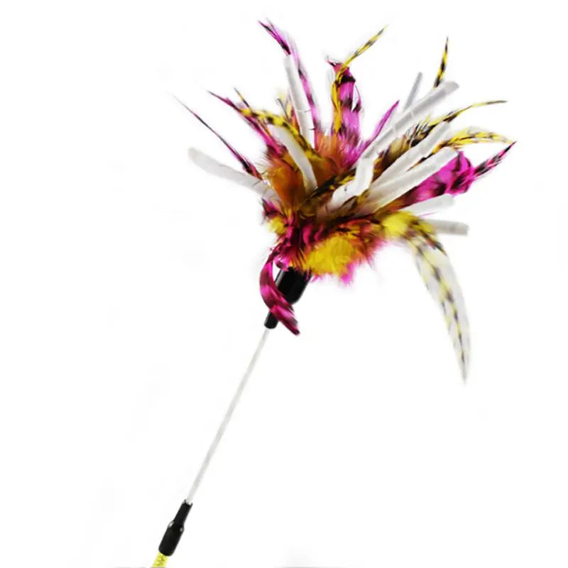 Interactive Cat Toy Feather Bird with Multiple Options