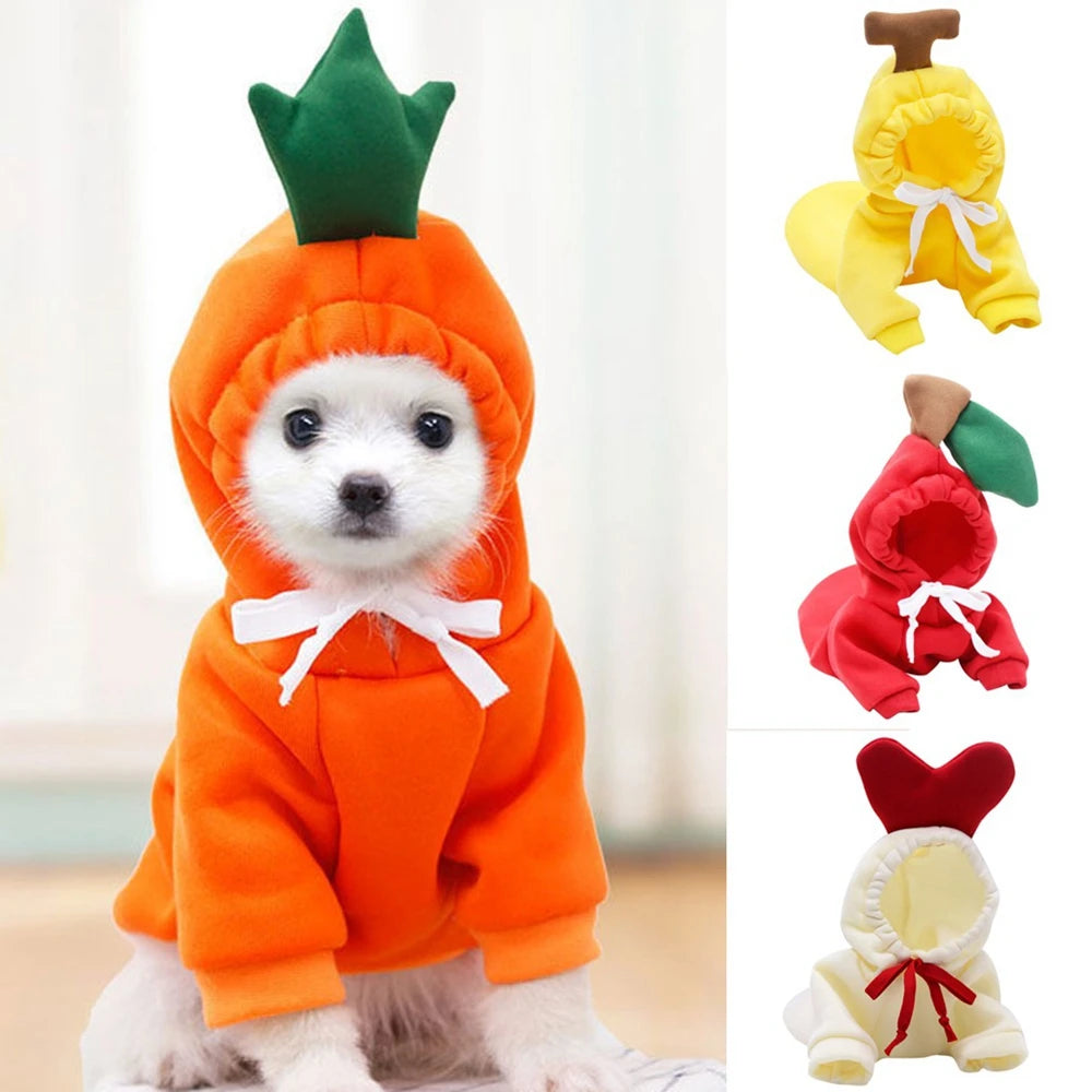 Cute Colorful Pet Clothing
