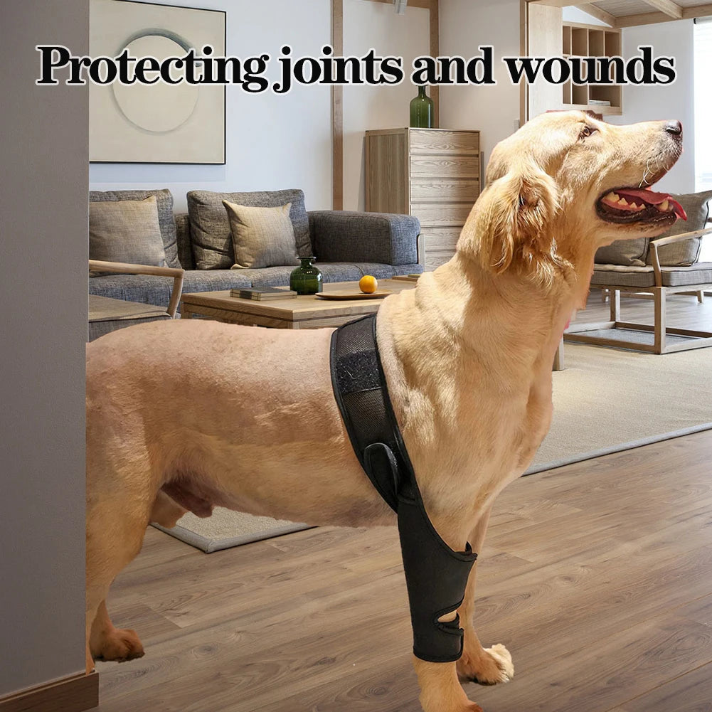 Universal Hip And Knee Brace And Protector For Dogs