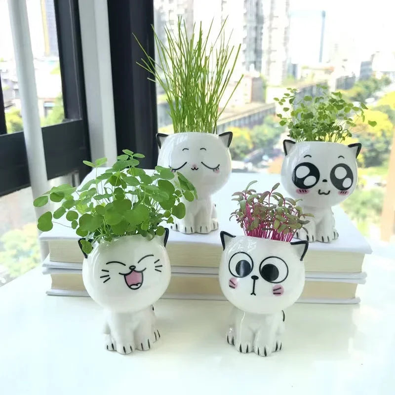 Mini Cat Ceramic Flowerpot