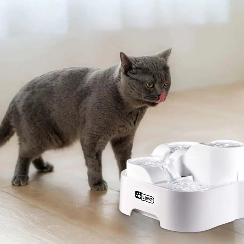 Pet Water Fountain With Filtration System