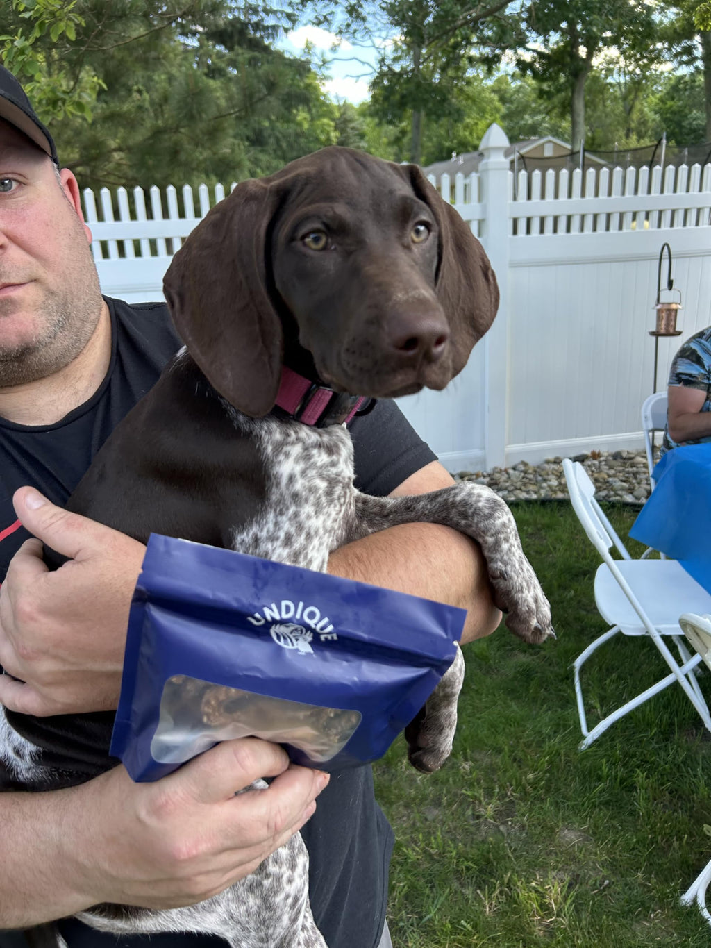 Organically Fed Quail Crunch Sticks and Legs - Healthy and Delicious Treat for Pets
