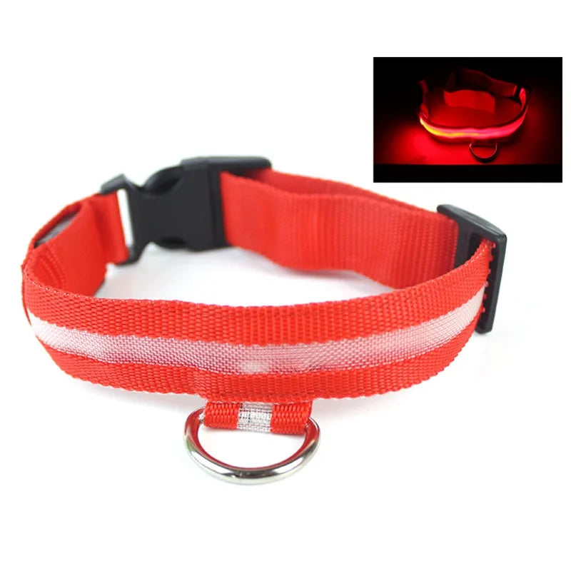Nylon LED Pet Dog Collar USB Charging
