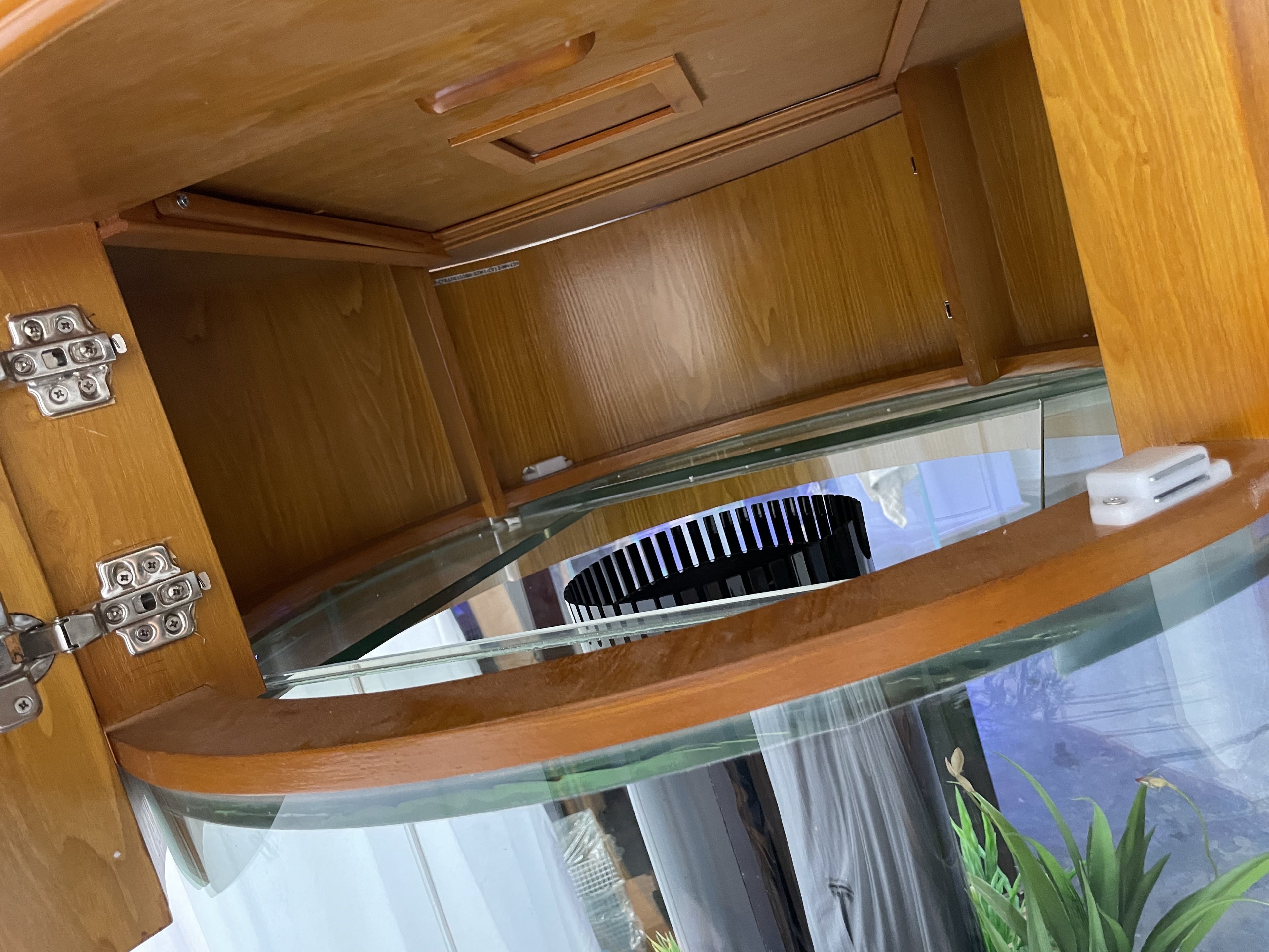 100 Gallon Glass Full Cylinder Aquarium Minor Blemish Reef-Ready Aquarium in Golden Oak Real Wood Furniture