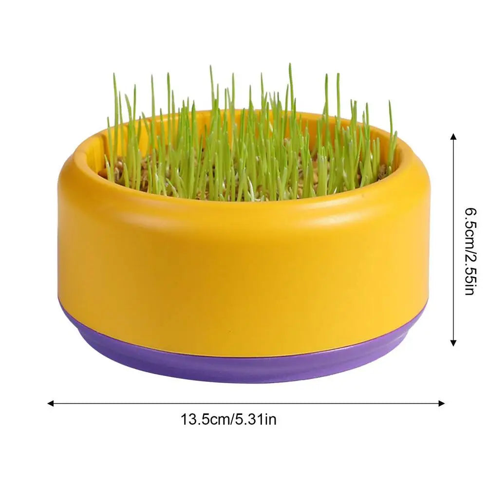 Hydroponic Box, Cat Grass Plant Bowl