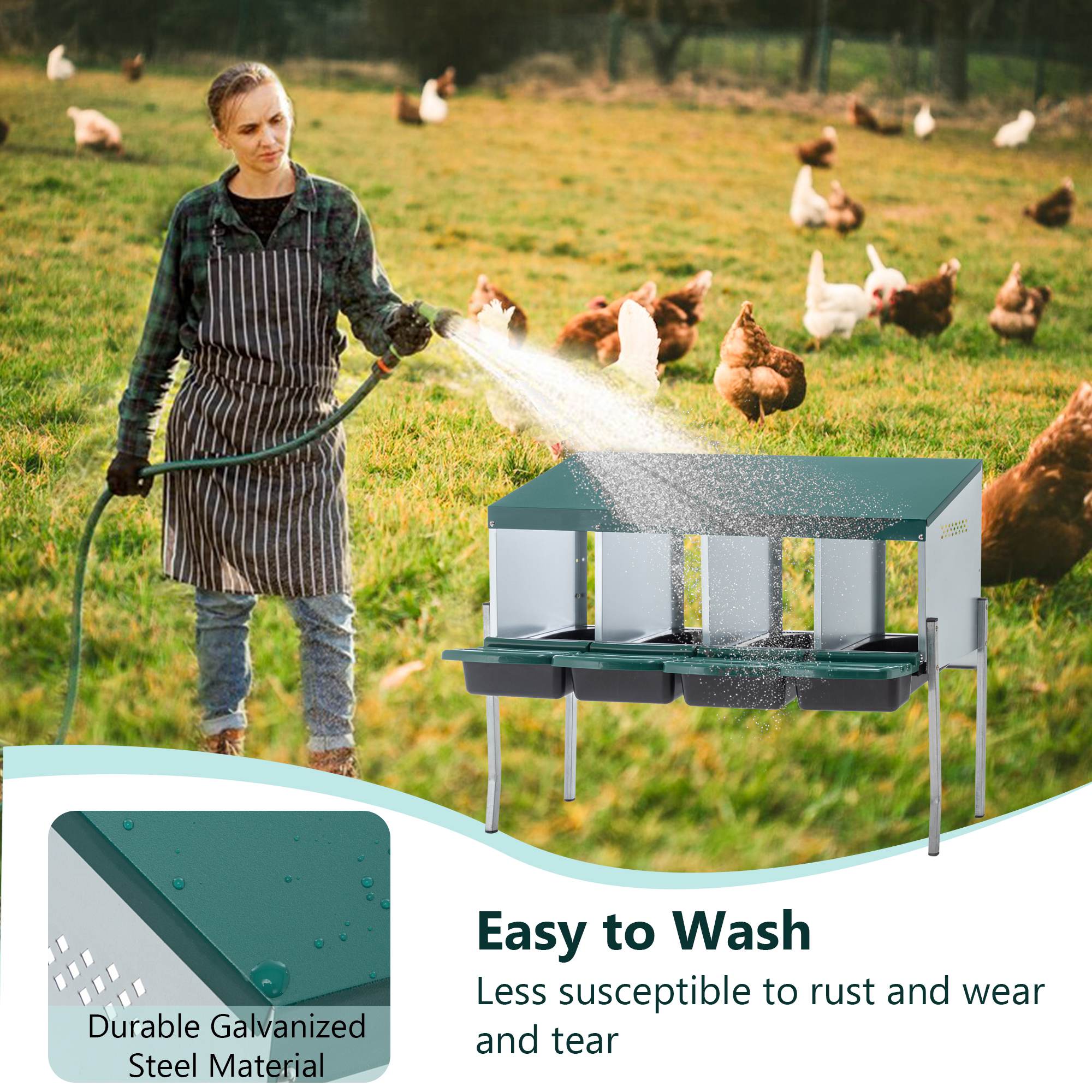 4-Hole Chicken Nest, With Legs And Cover To Protect Eggs