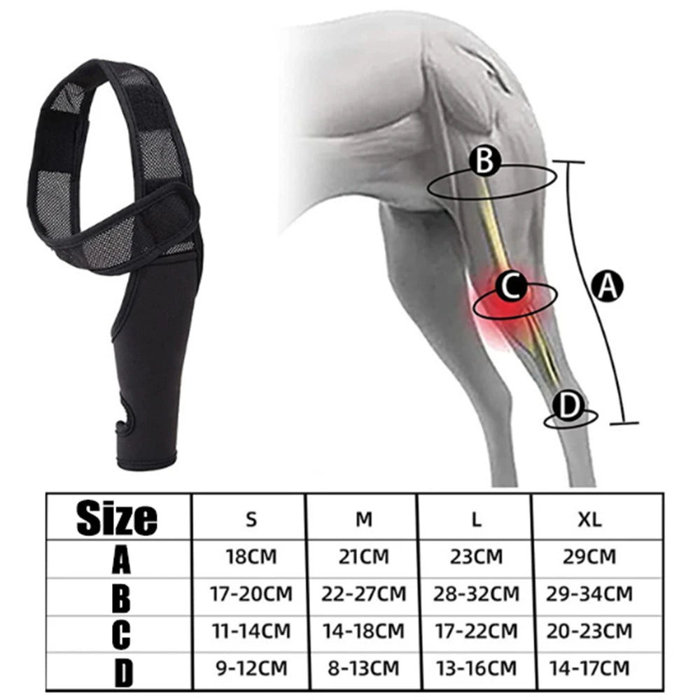 Universal Hip And Knee Brace And Protector For Dogs