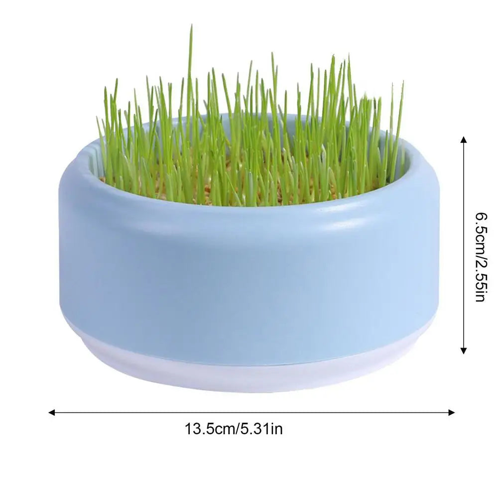 Hydroponic Box, Cat Grass Plant Bowl