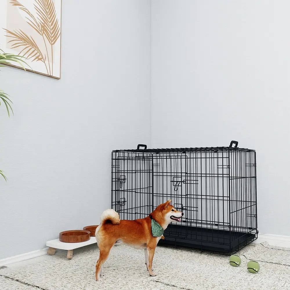 36 Inches Black Wire Dog Cage Double Lock Mechanism Two Doors