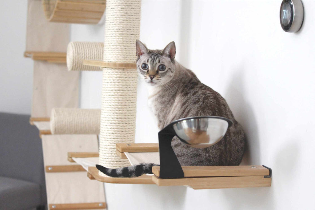 Dog Proof Cat Feeder - Wall-Mounted - Raised