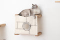 Enclosed Cat Bed - Cat Wall Cubby