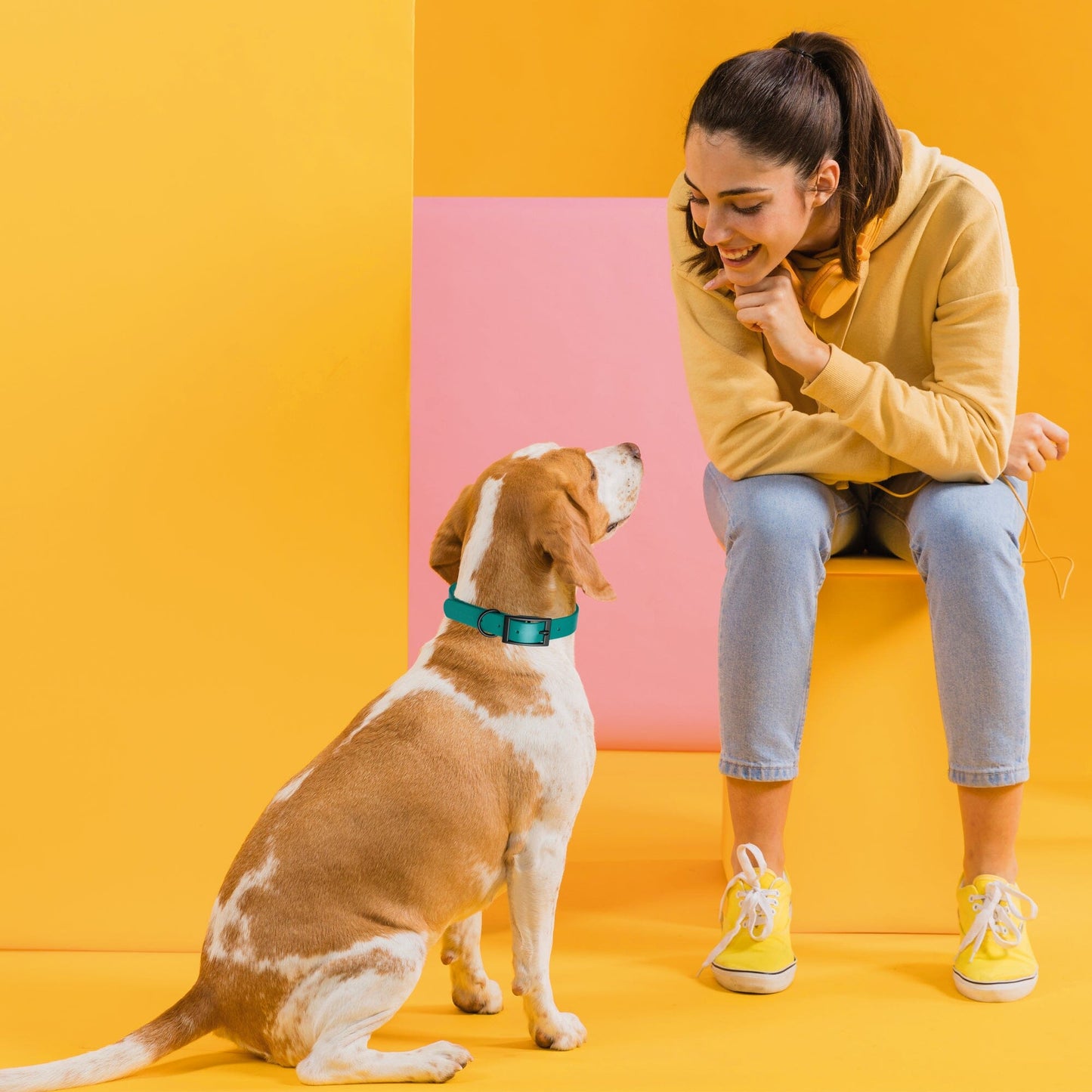 Biothane Waterproof Dog Collar - 1.5in Wide - X-Large (20 to 24 inches)