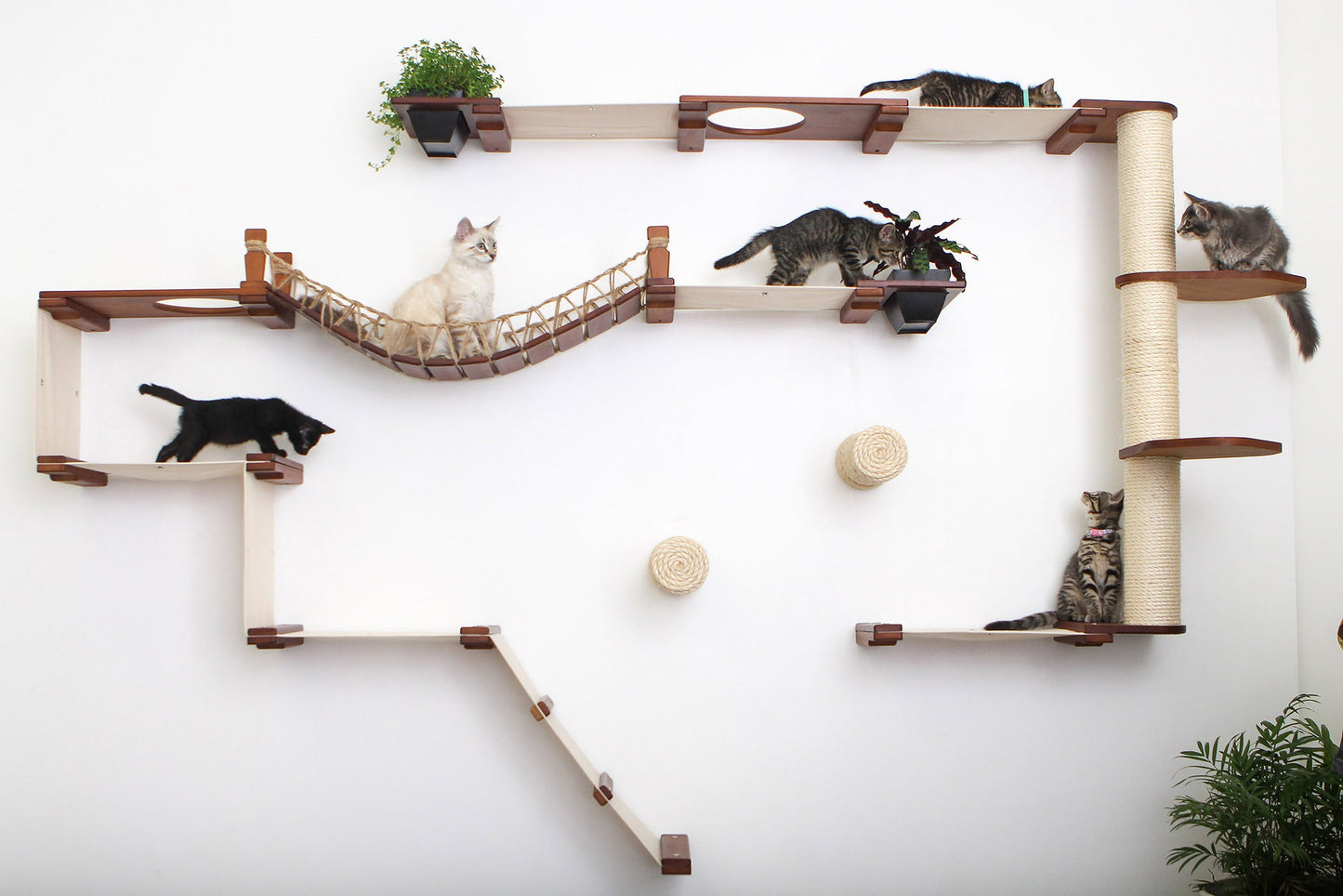 The Juggernaut - Indoor Cat Playground for Wall