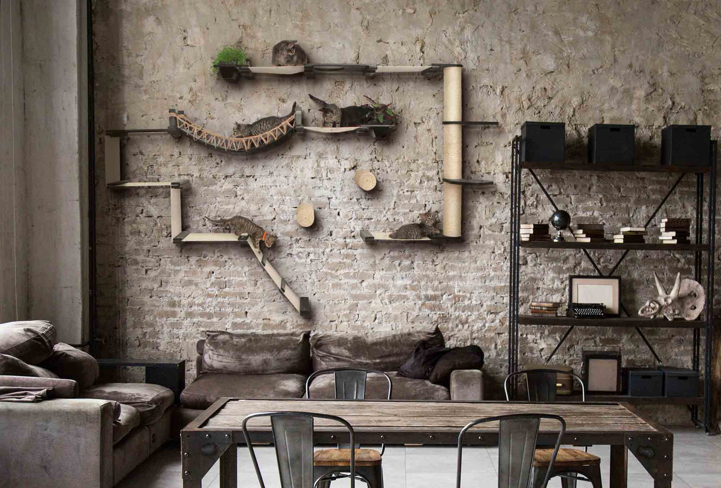 The Juggernaut - Indoor Cat Playground for Wall