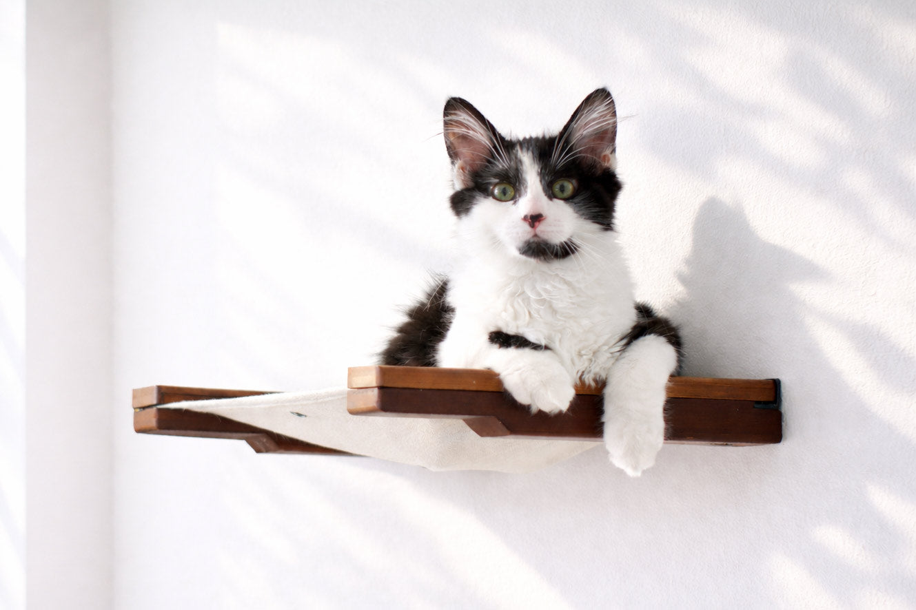 Hanging Cat Bed Hammock