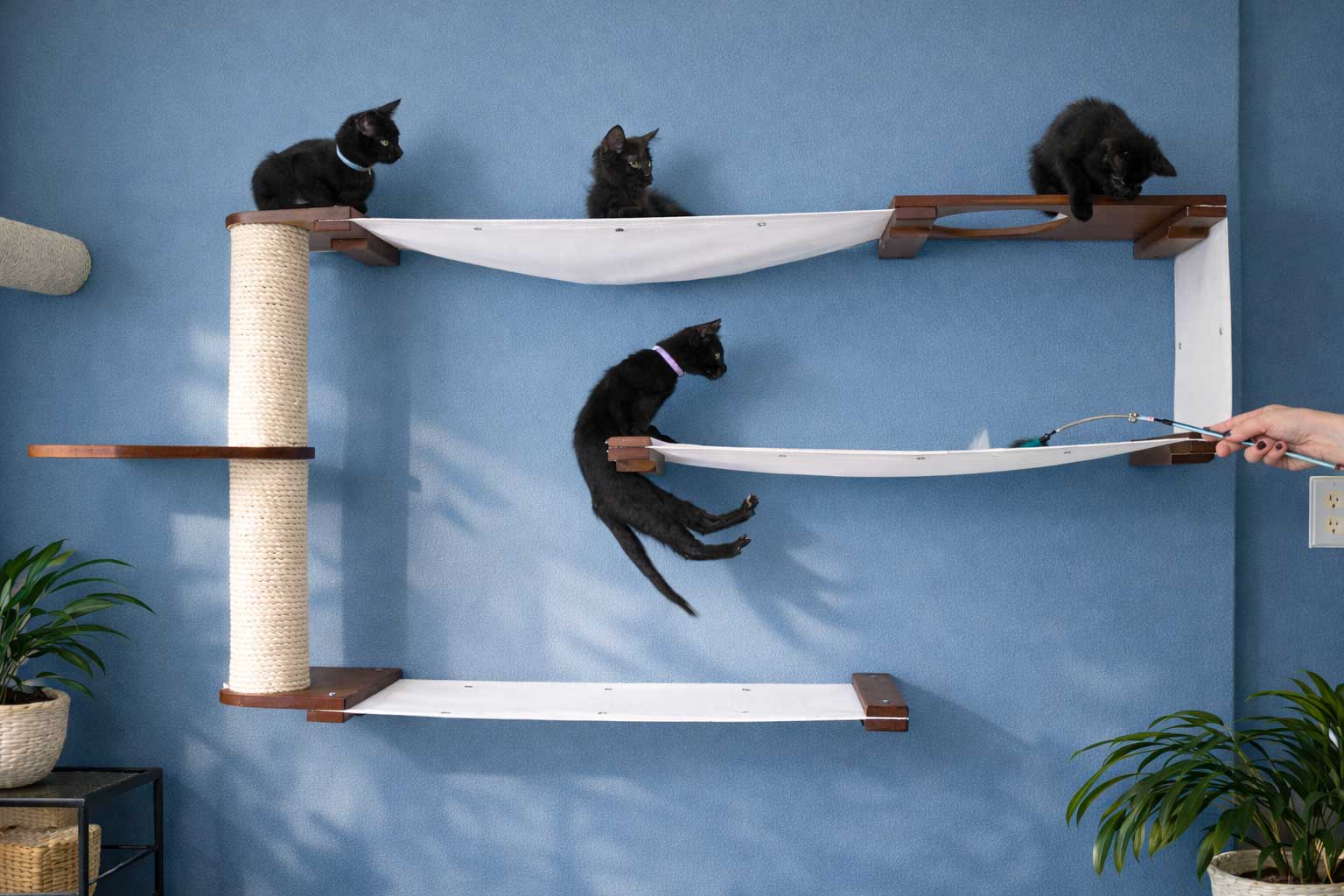 Cat Maze Wall - 3 Tier Cat Tree