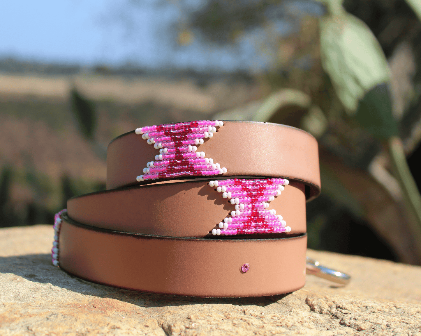 Matching leash/dog collar Melrose Sambboho Bundle