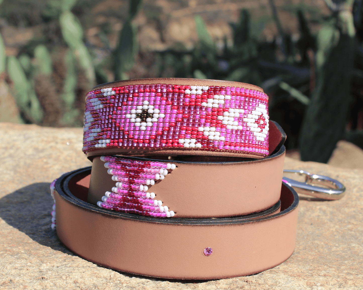 Matching leash/dog collar Melrose Sambboho Bundle