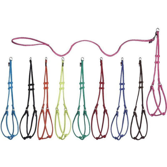 Comfort Microfiber Round Step-In Dog Harness + Dog Lead